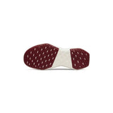 Women's Tree Dasher 2 Shoes